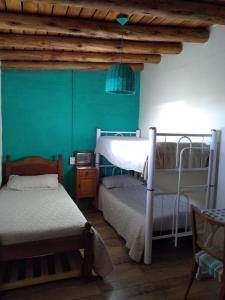 RivadaviaAires de Naturaleza的一间卧室设有两张双层床和绿色的墙壁