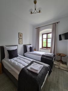 缅济莱谢SUKIENNICE MIĘDZYLESIE的酒店客房设有两张床和窗户。