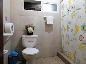 伊瓦拉Hostal Cumbres Andinas的一间带卫生间和淋浴帘的浴室