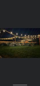 旧瓦马Camping Carmen Vama Veche的一群夜晚在足球场上的灯光