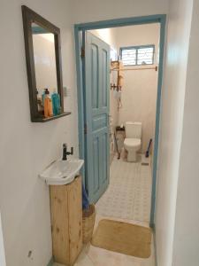 帕杰Déjà Blue的一间带水槽、镜子和卫生间的浴室