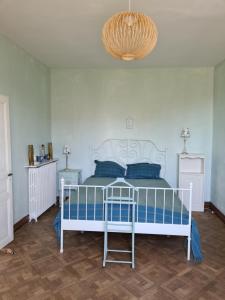 孔东VILLA PIERRE的卧室配有蓝色和白色的床和吊灯。