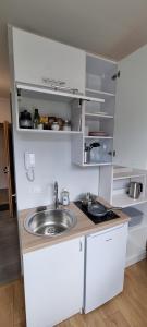 塔尔图Pepleri Studio 67的厨房配有水槽和台面