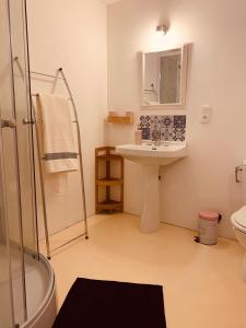 孔东VILLA PIERRE的一间带水槽和淋浴的浴室