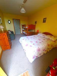 斯莱恩Slane Farm Hostel, Cottages and Camping的一间卧室设有一张床和黄色的墙壁