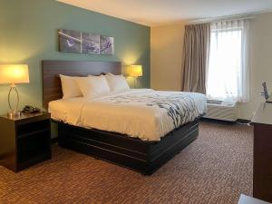 格林斯伯勒Sleep Inn & Suites - Coliseum Area的一间卧室设有一张大床和两个窗户。