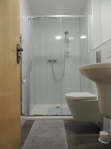 MacduffBraeview Studio的带淋浴、卫生间和盥洗盆的浴室
