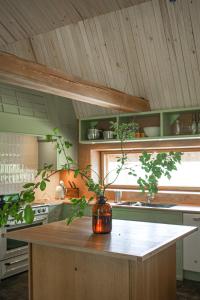 Pinewood Guesthouse的厨房或小厨房