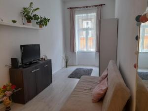 布达佩斯Budapest Central Andrassy Apartment的带沙发和电视的客厅