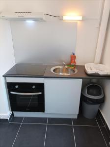 萨兰莱班O'Couvent - Appartement 80m2 - 2 chambres - A331的一个带水槽和柜台的小厨房