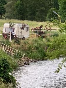 BžanyUbytování v karavanu的河边田野里的拖车和马