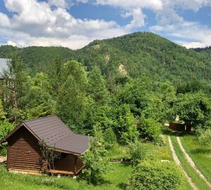 BeloberëzkaГаліція的山中的小小屋