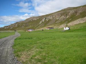 Vopnafjörður阿斯布兰斯塔迪度假屋的山地中的土路