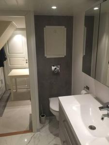 SkalandSenja, Skaland apartment的浴室配有白色卫生间和盥洗盆。
