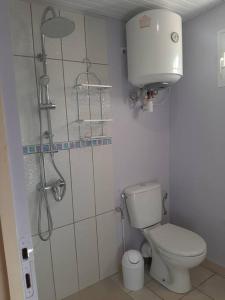 莱特鲁瓦西莱Studio Perle de Zanzibar Trois-Ilets的带淋浴和卫生间的浴室。