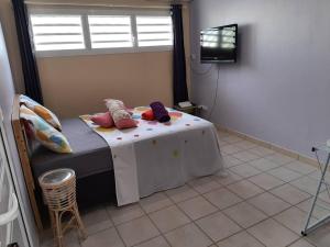 莱特鲁瓦西莱Studio Perle de Zanzibar Trois-Ilets的一间卧室配有带枕头的床铺和电视。