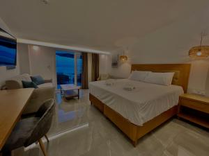 佩科霍里Hotel Pefkohori Beach的一间卧室设有一张床和一间客厅。