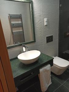 AlpiarçaFontanário House的一间带水槽、卫生间和镜子的浴室