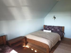 RannaRannamõisa Puhkeküla的一间小卧室,配有一张蓝色墙壁的床