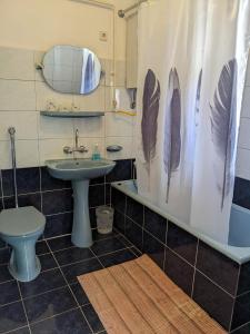 锡尔沃斯瓦里德Tulipan Haz的浴室设有水槽和带羽绒的浴帘。