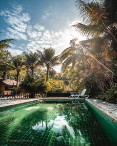 乌巴图巴Hostel Marthi Itamambuca的一个带椅子的游泳池,棕榈树