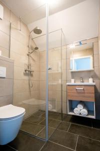 佐尔尼耶戈迪Na-Ture Apartments的带淋浴、卫生间和盥洗盆的浴室