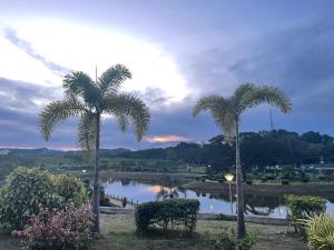 安吉利斯Luxury Condo in Clark Pampanga beside Hilton Hotel and Casino的两棵棕榈树在湖前