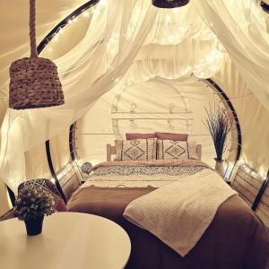 布拉索夫Dragonfly Gardens - The Wagons的一间卧室配有一张白色天蓬床