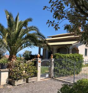 圣科斯坦佐B&B La Palma的棕榈树屋前的围栏