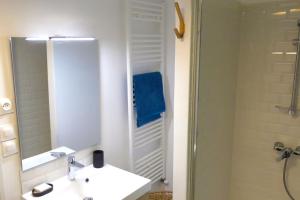 吉尼亚克Néo Cévenols Hostel的一间带水槽、镜子和淋浴的浴室