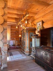 大格拉迪什泰Brvnara Antika的一间带电视和木制天花板的客厅