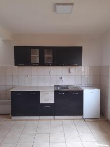 奥赫里德Apartments Stefan Trpejca的厨房配有黑色橱柜和白色冰箱。