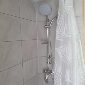 EighterDutchdream b&b logcabin的浴室内配有淋浴帘。