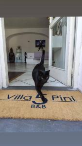 伊斯基亚Villa Cinque Pini的一只黑猫站在门前的地毯上