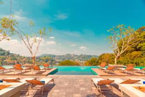 康提提兰卡酒店的一个带躺椅的游泳池和一个游泳池