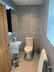 利明顿Highfield Coach House的一间带卫生间和水槽的浴室
