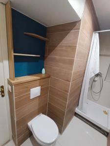 Tournan-en-BrieTournan en Brie, centre ville, superbe appartement的一间带卫生间和淋浴的小浴室