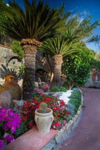 伊斯基亚Villa Paradiso的种有两棵棕榈树和鲜花的花园