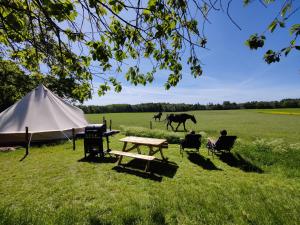 ØstermarieUnder Canvas Bornholm的帐篷、野餐桌和田野中的马