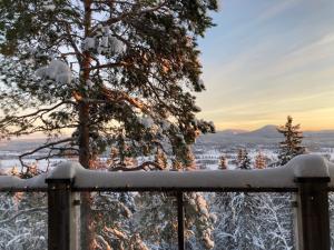 耶尔夫瑟Alpstigen 10A - Newly built sports lodge with amazing views的雪覆盖的栅栏,享有城市美景