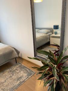 凯尔采Apartament w ZIELONEJ OKOLICY z TARASEM的镜子,床上和植物