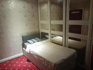 伦敦Lovely 1-Bed Studio in London的一间小卧室,配有一张床和镜子