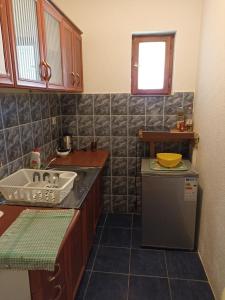 扎布利亚克Apartments & Rooms Vitko的一间带水槽和洗碗机的小厨房
