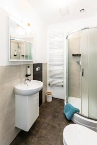 波兹南Cooltour的一间带水槽、淋浴和卫生间的浴室