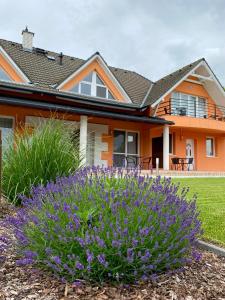 巴拉顿菲兹弗Korall Apartman的一座橙色房子,前面有紫色的鲜花