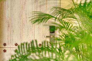 卡塔赫纳Hotel Casa Canabal by Faranda Boutique的木门,门把和植物