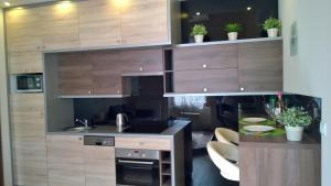 布达佩斯佩图公寓的厨房配有木制橱柜和黑色台面