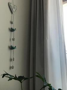 里奥夸尔托Departamento céntrico - Leer condiciones y precio的窗户旁的一间有窗帘和植物的房间