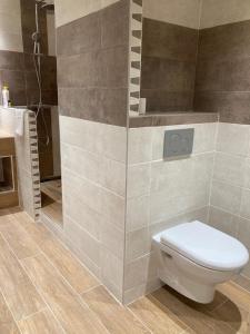 拉格拉沃HOTEL DES ALPES - SKIERS LODGE的一间带卫生间和淋浴的浴室