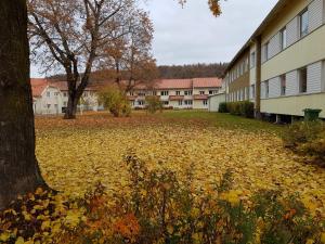 胡斯克瓦纳Huskvarna Hotell & Vandrarhem的建筑物旁边地上堆积着的树叶